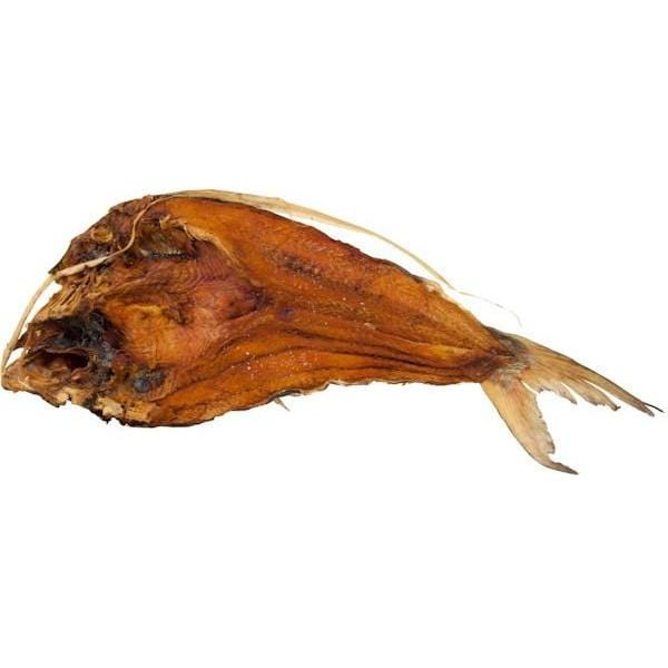 surinames Koepila  Butterfly Catfish 1kg