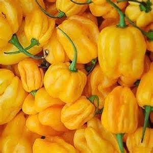 Ajuma Yellow Pepper Extra Hot 1kg